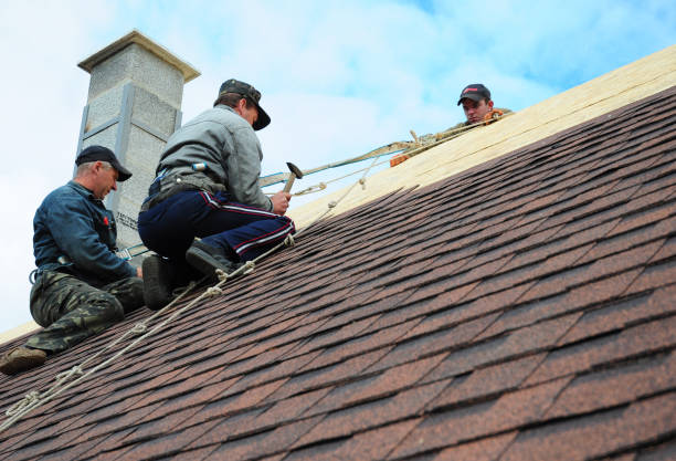 Roof Gutter Cleaning in Granbury, TX